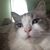 Deneese Spivey's profile image