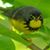 Judy Runkel's profile image