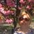 Eileen A. McDonnell O'Driscoll's profile image