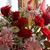 Ederle F Cloukey's profile image