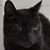 John Sposato's profile image