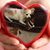 Darlynn Benji Katie's profile image