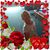 Wendy Tucholski's profile image