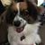 Brenda Sanford's profile image