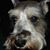 Michael Wilkey's profile image