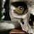 Neil Winstanley's profile image