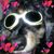 Donice Mattote's profile image