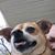 Penny Allison's profile image
