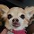 Lindsay Jones Kraemer's profile image