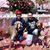 Kelly Kelly McKay-Alves's profile image