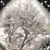 Jan Dittenber's profile image