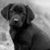 Michael Brian Price's profile image