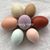 JoAnn Healy's profile image