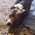 Michele Yanes's profile image