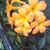 Robin Bower Huddlestone's profile image