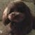 Gina Musil's profile image