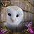 Barbara Reeder's profile image