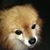 Carrie Xie's profile image