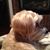 Nancy M. Muffick's profile image