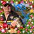Bob Johnson's profile image