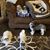 Rhonda Fauci's profile image