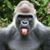 John Roach's profile image