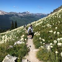 Kristin Fiske's profile image