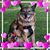 Christopher Young's profile image