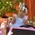 Beatriz Ceja's profile image