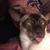 Michelle Lussier's profile image
