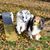 Judy Bienvenu's profile image