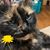 Kathy Tumeo's profile image