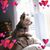 Marilyn Buck's profile image