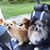 Lori Bell Leveto's profile image