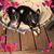 Sharon Moore's profile image