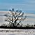 Susan Selke's profile image