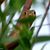 Laurie McElyea Ford's profile image