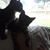 Lisa Ranson's profile image
