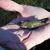 Glenda Fulmer Conley's profile image