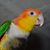 Tish Dudley Toussaint's profile image