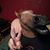Tony Scarfone's profile image