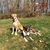 Charlene Burrell Yablonsky's profile image