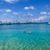 Melissa A Stolz's profile image