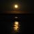 Cyndy Meahl Nichols's profile image