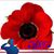 Tony Baker's profile image