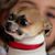 Ben Moyer's profile image