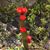 Debra Daly Baldwin's profile image