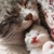 Tanesha R.'s profile image