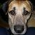 Patricia Todd's profile image