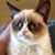 Rob Eback's profile image